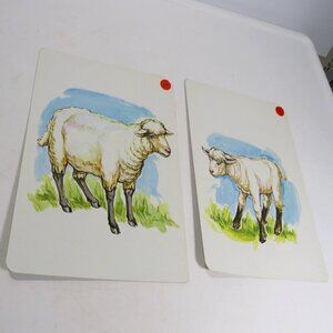 Peabody 1960s ANIMALS Sheep Ewe & Lamb (2) cards Vintage Artwork